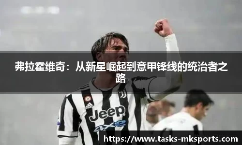 弗拉霍维奇：从新星崛起到意甲锋线的统治者之路